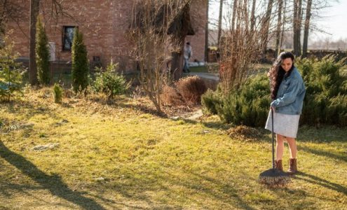 Jakie są najlepsze praktyki pielęgnacji trawnika w różnych warunkach klimatycznych?